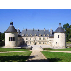 billet pas cher Château de Bussy-Rabutin