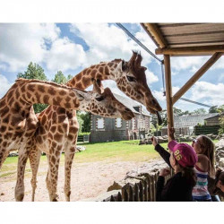 réduction visite Zoo de Jurques calvados