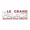  eTicket cinéma Le grand Palace Saumur valable jusqu'au 11 Mars 2025