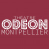 eTicket Théâtre Odéon - Catégorie 1 - Valable jusqu'au 20 Février 2025