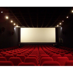 7,00€ Ticket cinéma Confluences Sablé sur Sarthe