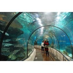 billet réduit Aquarium de Barcelone
