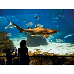 Réduction billet Aquarium de Barcelone