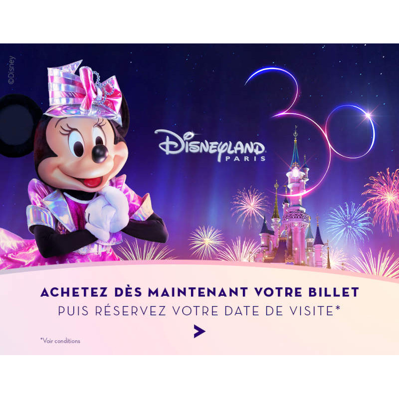Ticket Disneyland Paris 30 ans moins cher