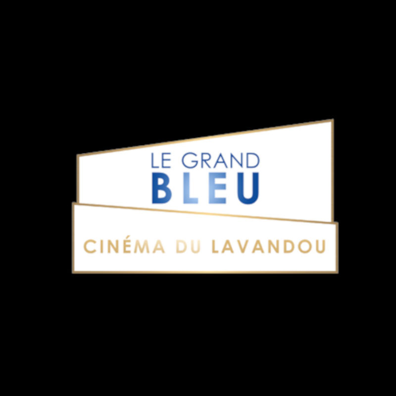 Place cinéma Le Grand Bleu Le Lavandou moins cher avec Accès CE 6,20€