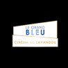  eticket Cinéma Noé valable jusqu'au14 Novembre 2023
